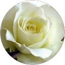 Keila Q. profile picture